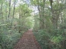 de Mareau à Pithiviers-le-Vieil